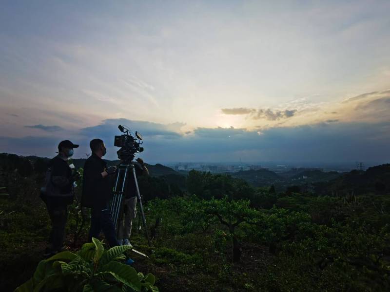 聚焦大城县产品宣传视频拍摄公司，用专业实力铸就品牌传播传奇